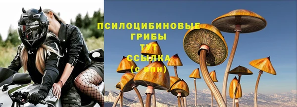 а пвп мука Алзамай